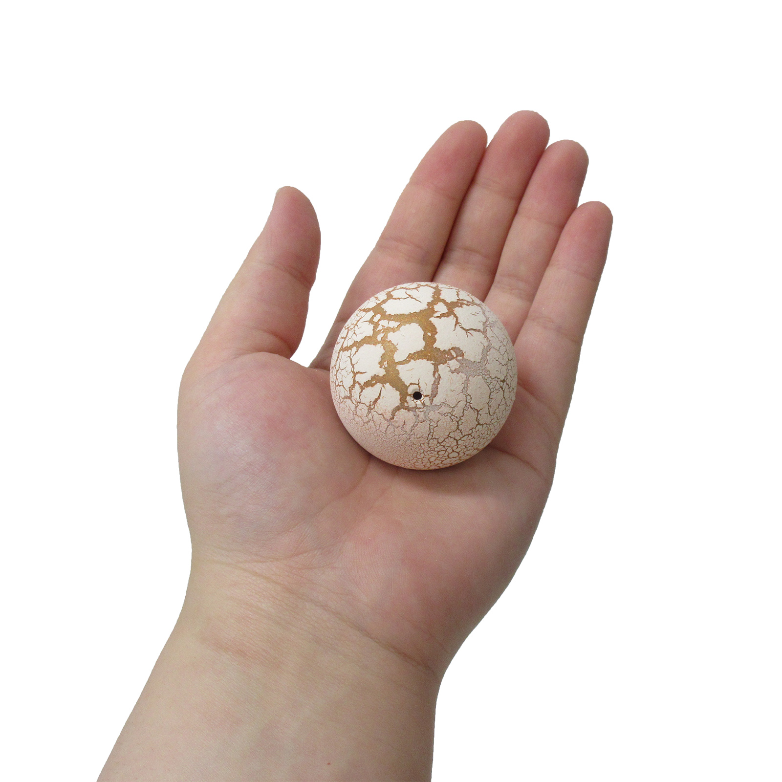 サプライズトイ びっくりコロまるたまご 恐竜 No 6 671 ホビー スポーツ 株式会社 ファースト アロー 問屋 仕入れ 卸 卸売の専門 仕入れならnetsea