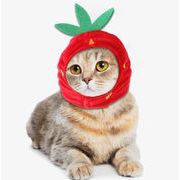 アクセサリー　帽子　コスプレ　ペット　ペット用品　犬猫兼用