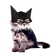 激安 ペット服 犬用猫用 仮装帽子 大中小型犬/猫 ハロウィン Halloween 猫服犬服 蝙蝠バット 帽子+マント