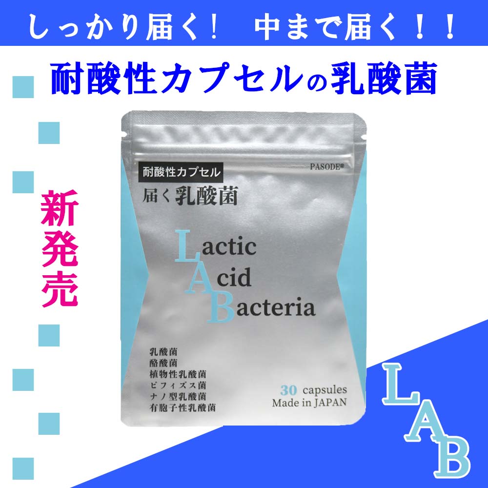 届く乳酸菌Lactic Acid Bacteria