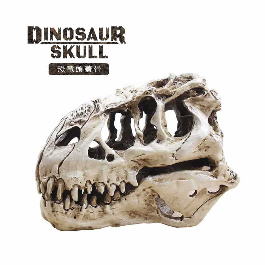 恐竜 ティラノサウルス 頭蓋骨 骨 骨格 模型 頭 置物 おもちゃ バースデー