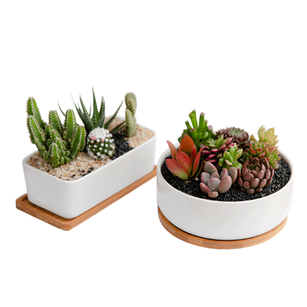 植木鉢 プランター 多肉植物 多肉ポット 盆栽鉢植え 植木鉢 花瓶 花台