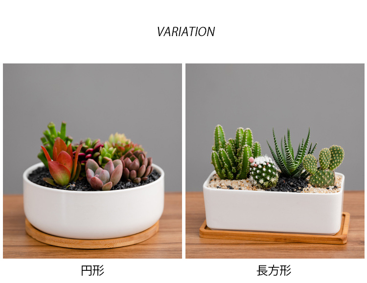 植木鉢 プランター 多肉植物 多肉ポット 盆栽鉢植え 植木鉢 花瓶 花台