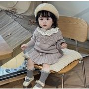 2024 ins秋人気  韓国風子供服   ベビー服   トップス ニット セーター 男女兼用 2色