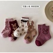 2025 人気新作    子供靴下  韓国風子供服 ベビー靴  ベビー用    ソックス    5足入り  うさぎ