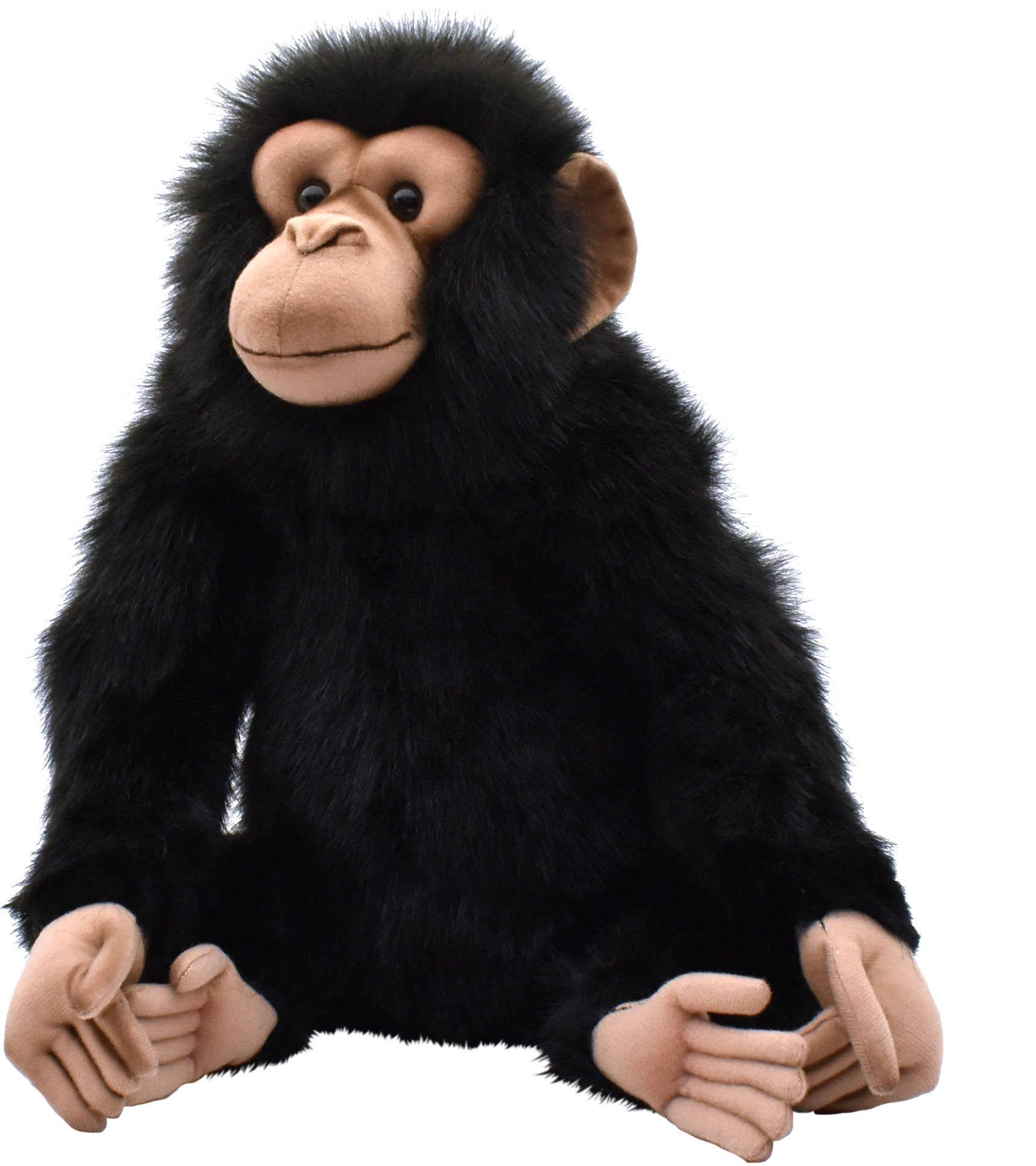 【送料別途】【ＨＡＮＳＡ製品】チンパンジー　３４　　　ＣＨＩＭＰ
