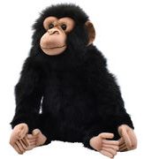【送料別途】【ＨＡＮＳＡ製品】チンパンジー　３４　　　ＣＨＩＭＰ