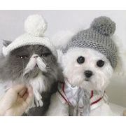 秋冬人気    帽子  犬帽  ペット用品    ペット服 猫犬兼用 ニット帽  可愛い  保温 6色