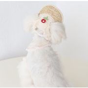 人気  ペット用品  犬猫兼用  帽子 麦わら帽子 可愛い ネコ雑貨   ペット帽  3色