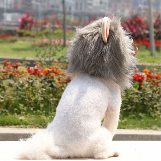 根付け　獅子　犬　ライオン 根付け 獅子 犬 ライオン （動物根付アーカイブ| マックスラザ