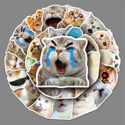 50枚 かわいい 猫ステッカー シール 手帳ステッカー  日記ジャーナル装飾用品 DIYステッカーパック