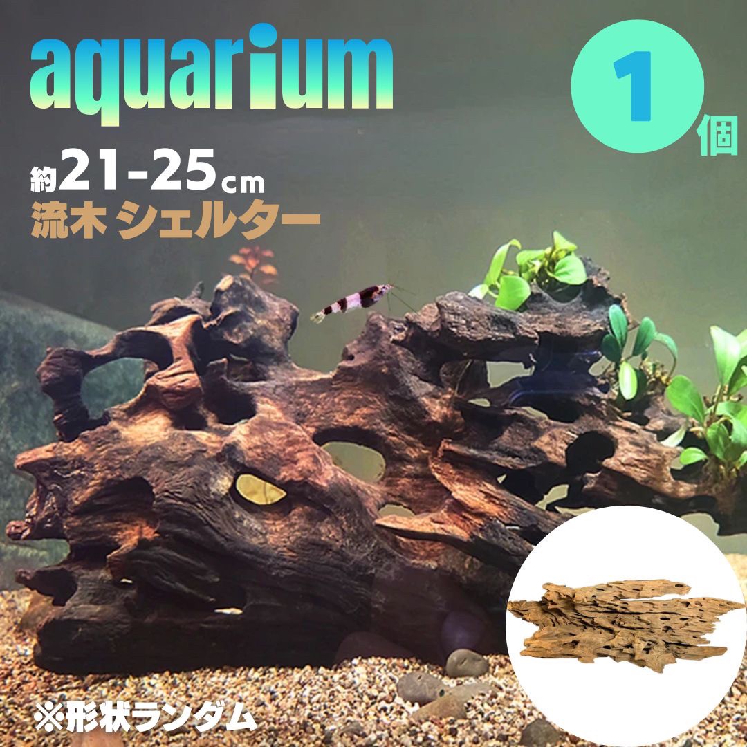 アクアリウム 流木 ーVer3ー 穴あき小魚シェルター 1個 形状お任せタイプ 21～25cm 水槽撮影