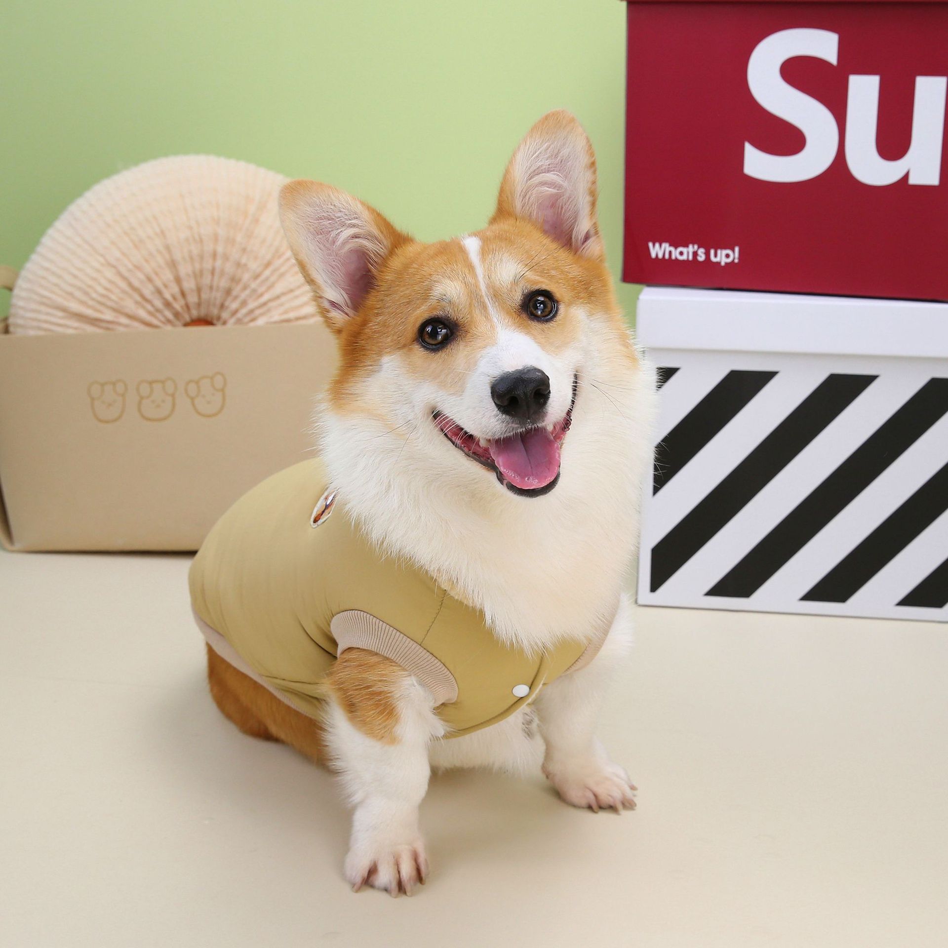corgi ニット カーディガン エリミネイター KUBRIC corgi ニット corgi ニット カーディガン エリミネイター KUBRIC corgi ニット