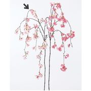造花　ドライ　ディスプレイ　Ａ－３３５４３　しだれ桜×８５　＃００１Ｐ　ホワイトピンク