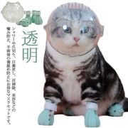 猫用マスク 口輪 フートカバー付き 透明 ペットマスク 宇宙ヘッドギア口輪 通気性 猫 エ