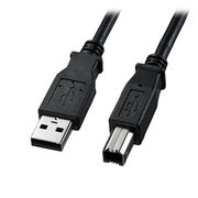 サンワサプライ USB2.0ケーブル KU20-2BKK2