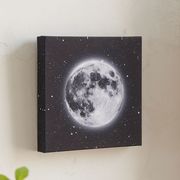 【Fun Science】LEDキャンバスアート　月