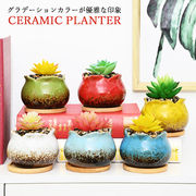 植木鉢 花模様 ミニ シンプル プランター 多肉植物 多肉ポット 盆栽鉢植え 植木鉢 花瓶 インテリア置物