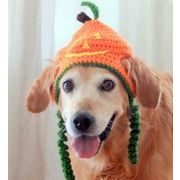 【秋冬新作】犬服★超可愛いペット用帽子★犬猫用ニット帽子★犬用帽子★ネコ雑貨★ハロウィン クリスマス