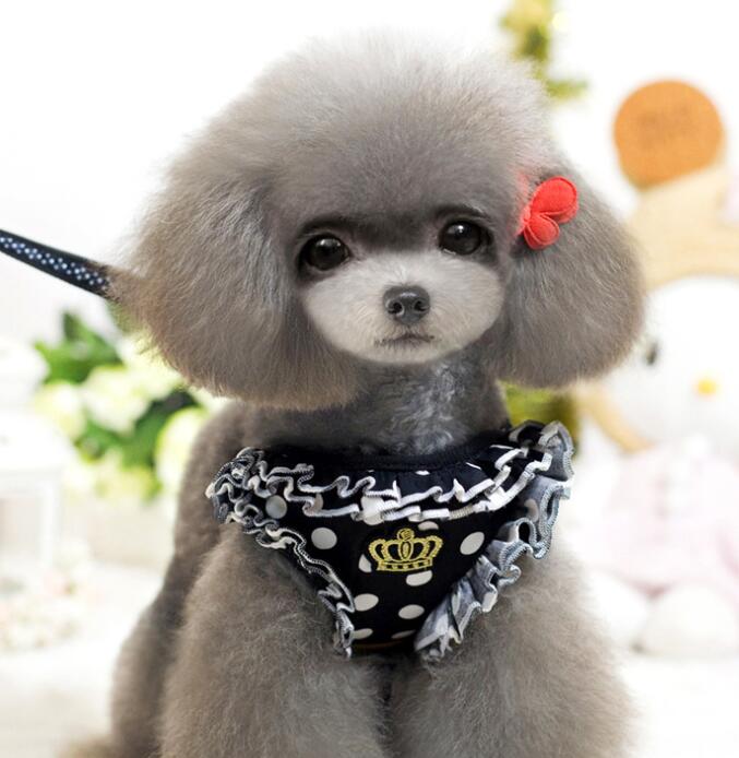新作 ペット服（牽引ロープ含み）◆猫用◆ペット牽引ロープ◆犬用牽引ロープ◆犬用胸背 ペット用品