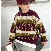 韓国子供服 2023秋冬新作 セーター 可愛い ベビー服ニット 暖かい 女の子 厚手 セーター 120-170CM 2色