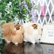 とてもファッション シミュレーション犬 家具 撮影道具 可愛い おしゃれな 中号 京巴犬 動物模型 工芸品
