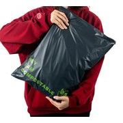 折りたたみバッグ ショッピングバッグ 収納袋 グリーンバッグ エコバッグ クーリエバッグ 生分解性バッグ