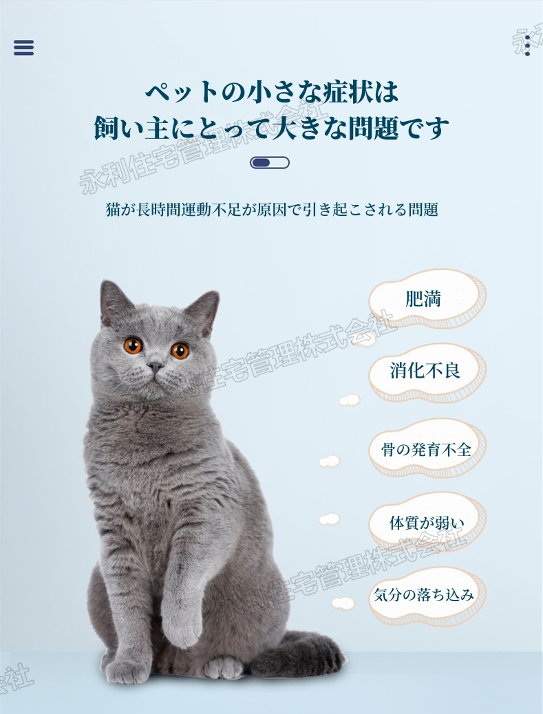 キャットホイール 猫 ランニングホイール キャットウォーク キャットホイール 猫 ランニングホイール キャットウォーク