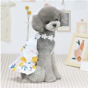 小型犬、中型犬、犬服、ペット用品?
