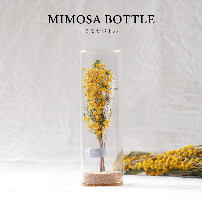 Mimosa Bottle ／ ミモザボトル（ドライフラワー）