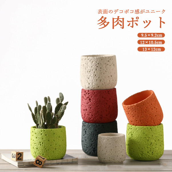 赤と緑の多肉植物 中型 四角形の鉢*6 赤と緑の多肉植物 中型 四角形の鉢*6