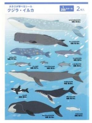 クジラデザイン様（確認用）