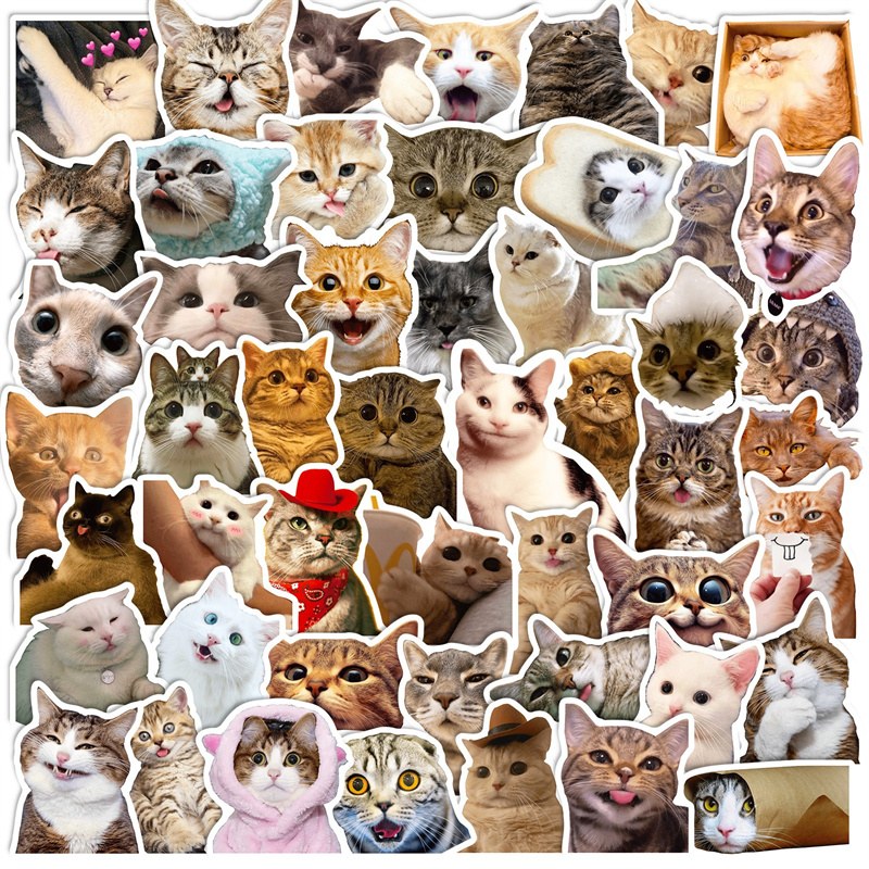 50枚入 猫のミーム ステッカーパック 可愛い 猫meme ネコ 猫ステッカー