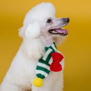 クリスマス犬服、犬のスカーフ、クリスマスペットオーナメント、犬服、猫服、ペットスカーフ、可愛い