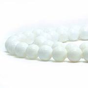 シェル 貝  【丸玉】8mm【天然石 ビーズ パワーストーン】