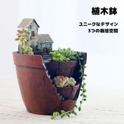 植木鉢多空間多肉苔リウム可愛い