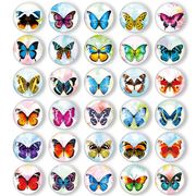 MORCART 冷蔵庫マグネット 30個セット カラフルな蝶 かわいい 冷蔵庫 装飾品