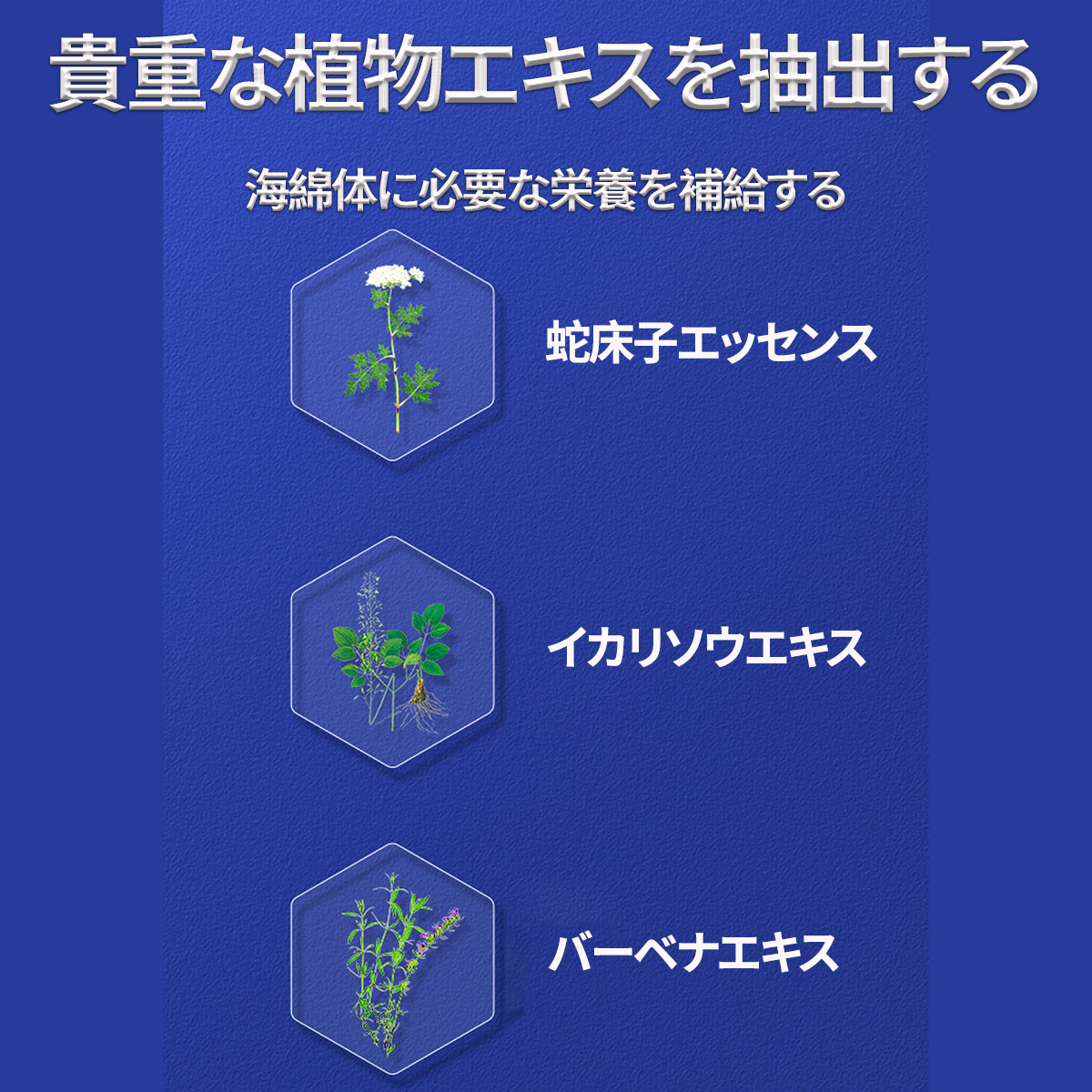 ペニス成長クリーム ペニス増大マッサージクリーム 男性の自信を高める 植物処方 海綿体を修復する50ml 泰東源株式会社  問屋・仕入れ・卸・卸売の専門【仕入れならNETSEA】