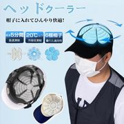 【2024 新登場・PCMアイスキャップマット】冷却グッズ  頭部冷却 熱中症対策 暑さ対策   自転車  通勤