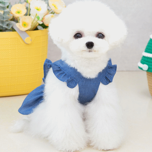 犬の服 ペット服 デニム ワンピース 犬服 ドッグワンピース ペット用品  新作 可愛い