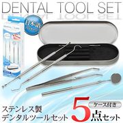 デンタルケアツールセット/歯石取り/スケーラー/5点/セルフケア/ステンレス器具/デンタルケアセットDL