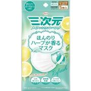 ★興和KOWA★三次元 マスク ほんのりハーブが香るマスク Ｇフルーツ 5枚入
