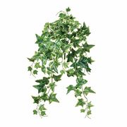 MAGIQ 難燃斑入りアイビーバイン　1本　FG612501-zzz