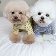 WEICH☆犬服 ペット服 ドッグウェア 犬猫兼用 ワンちゃん用 ペット用品 ネコ雑貨