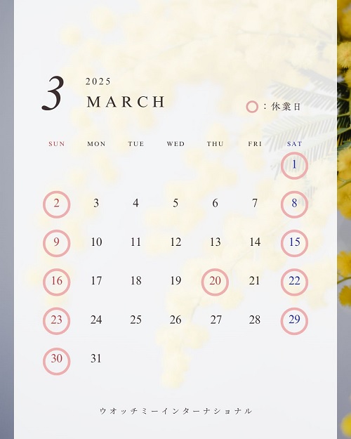 https://img04.netsea.jp/ex15/20250221/2/19058522_9.jpg