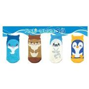 ハッピーフレンズソックス イルカ KS56-54