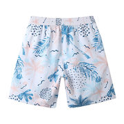サーフパンツ 水着 海パン 海水パンツ ボードショーツ メンズ 速乾 ビーチウェア 短パン 男性用