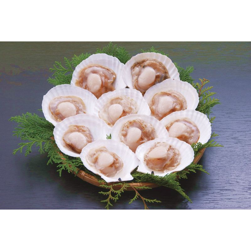 北海道産ほたて片貝L10枚 10【直送品】 送料無料