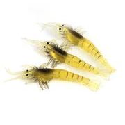 スピンテールジグ　 シーバス 青物 ロッド ヘッド 鯛ラバ セット ケース 釣具 リール ルアー