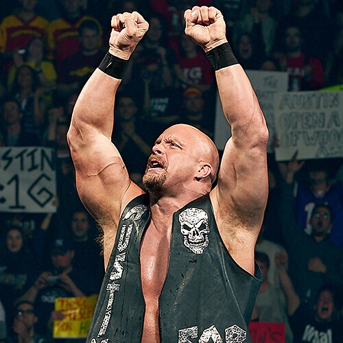 【超激レア】WWE スティーブオースティン自伝　サイン入り 超激レア】WWE スティーブオースティン自伝 サイン入り